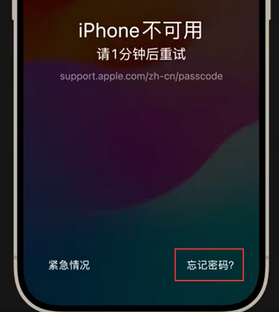 新州镇苹果手机密码维修分享iPhone忘记了刚设置的密码 