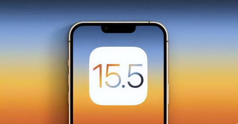 新州镇苹果手机维修分享iOS15.5 RC版升级建议 
