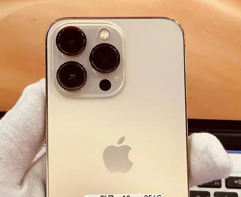 新州镇苹果13维修中心分享如何在iPhone13上设置动态壁纸 新州镇苹果13维修中心分享如何在iPhone13上设置动态壁纸